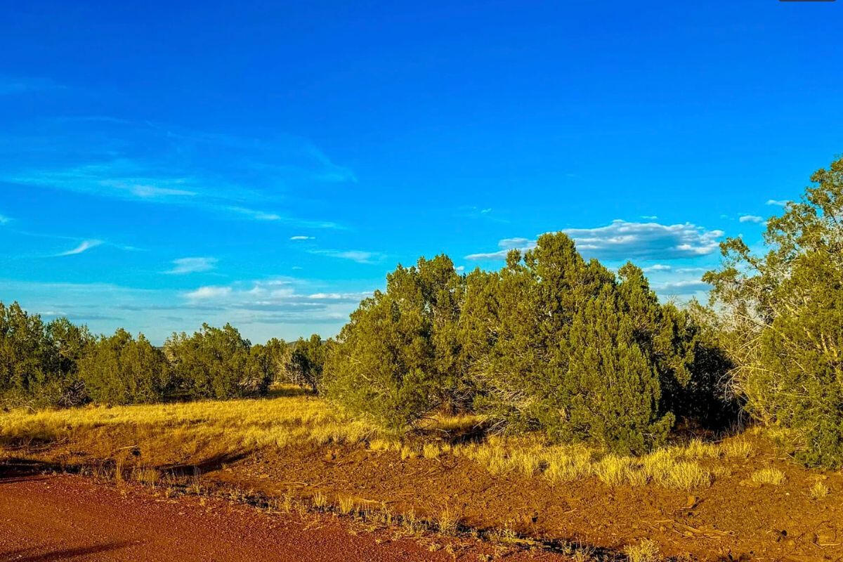 Triangle 1 - 4819 W ANITA CT WILLIAMS, AZ 86046