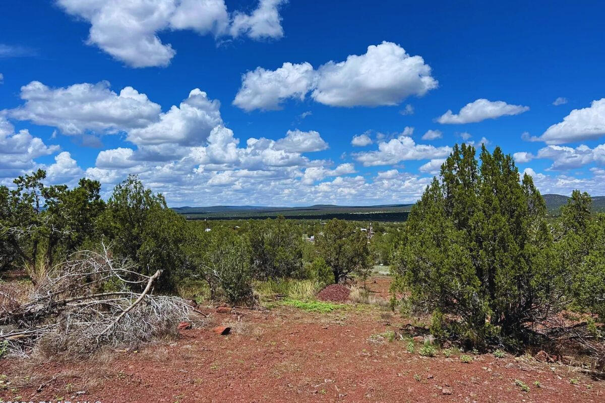 Triangle 1 - 4819 W ANITA CT WILLIAMS, AZ 86046