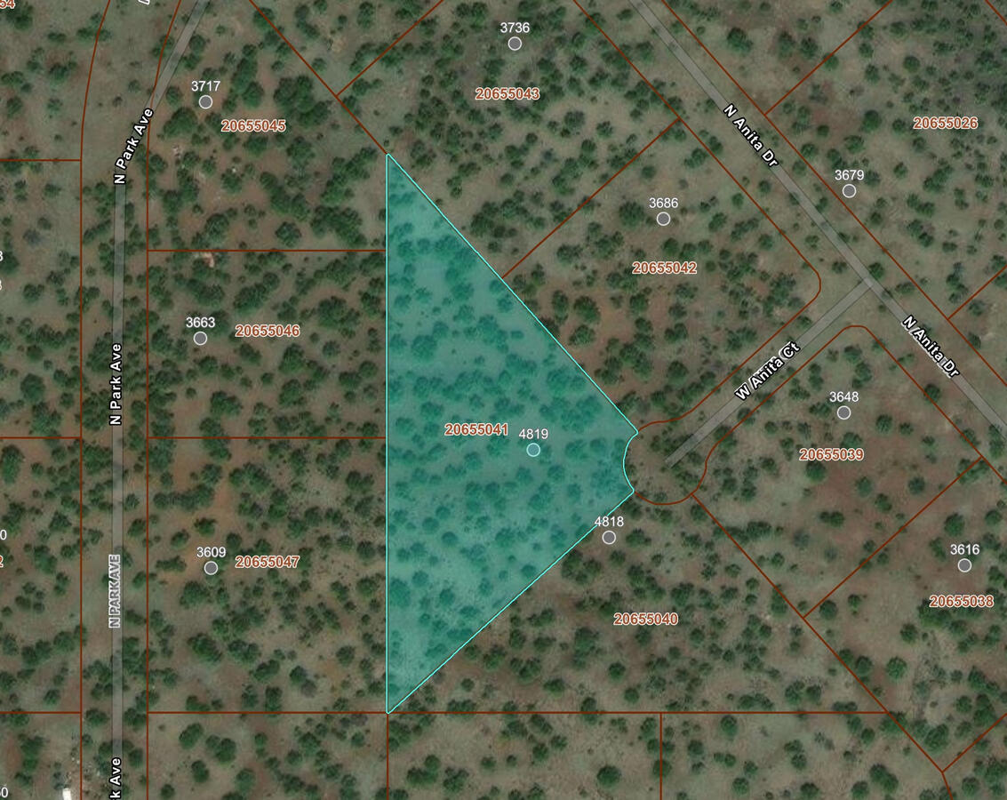 Triangle 1 - 4819 W ANITA CT WILLIAMS, AZ 86046