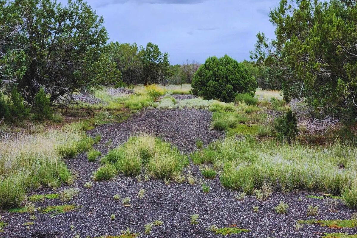 Triangle 1 - 4819 W ANITA CT WILLIAMS, AZ 86046