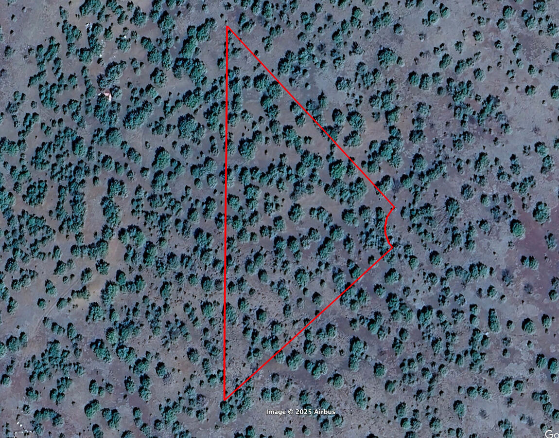 Triangle 1 - 4819 W ANITA CT WILLIAMS, AZ 86046