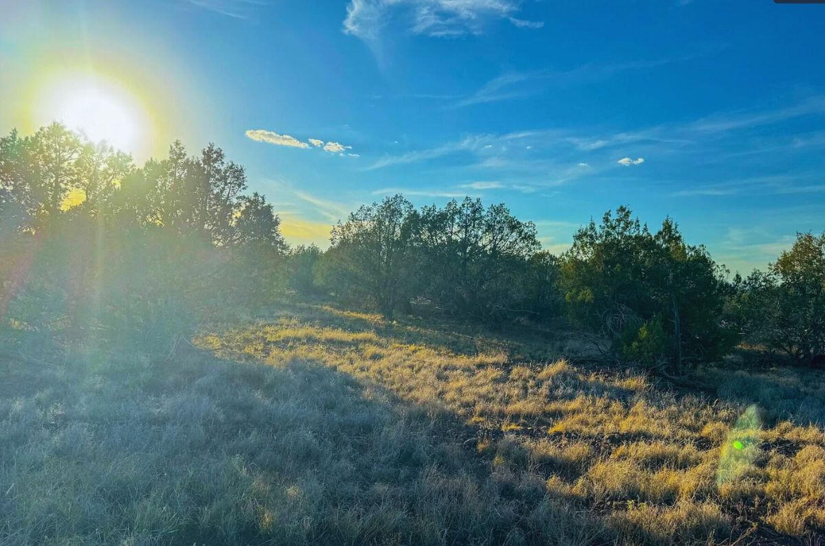 Triangle 1 - 4819 W ANITA CT WILLIAMS, AZ 86046