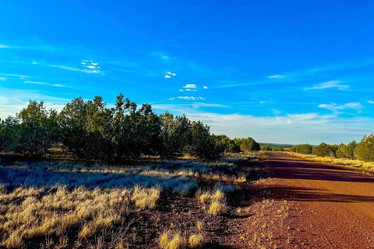 Triangle 1 - 4819 W ANITA CT WILLIAMS, AZ 86046