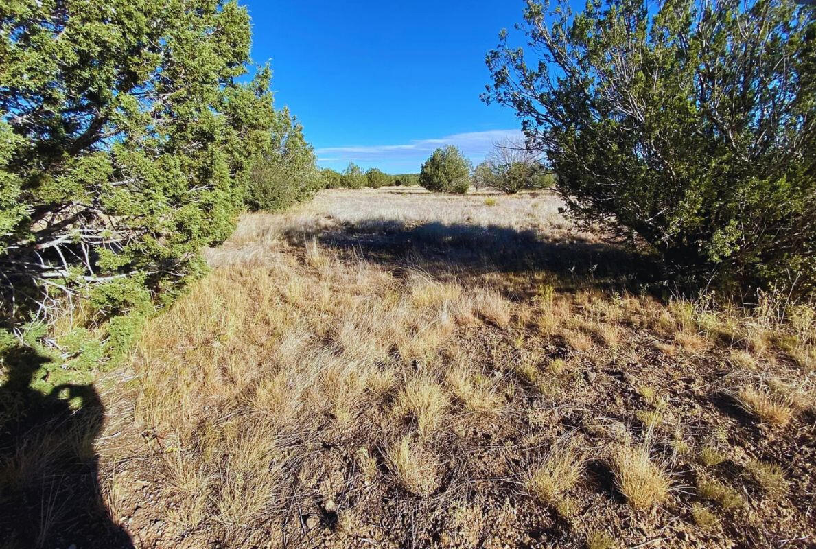 Triangle 1 - 4819 W ANITA CT WILLIAMS, AZ 86046